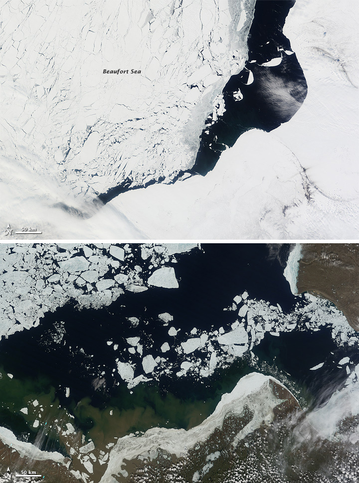 Beaufort sea ice retreat