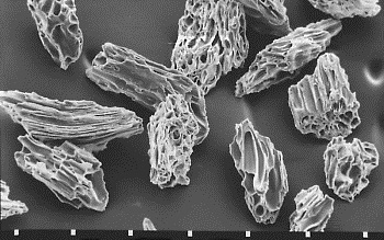 micrograph Rockland volcanic ash vesicles
