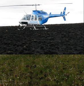 helicopter wildfire burn plant recovery