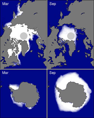 sea ice extent at poles