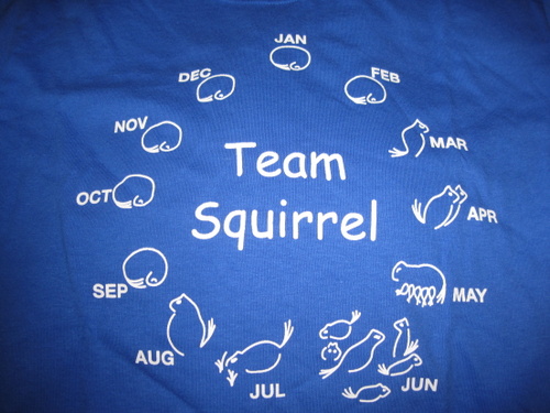 team squirrel shirt icons