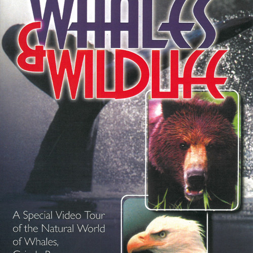 Alaska's Whales and Wildlife DVD